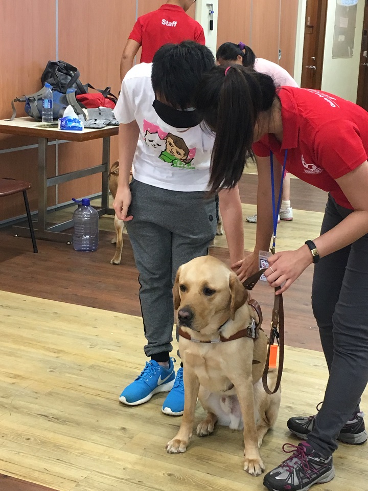 Guide.dog.workshop experiential.activity.with.guidedog2