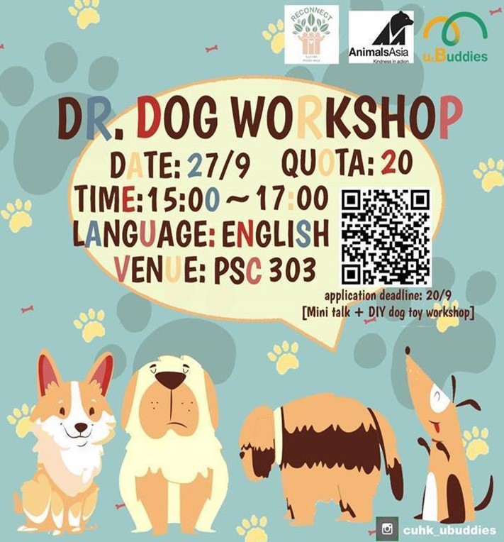 Dr. Dog Workshop