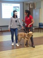 Guide.dog.workshop_experiential.activity.with.guidedog